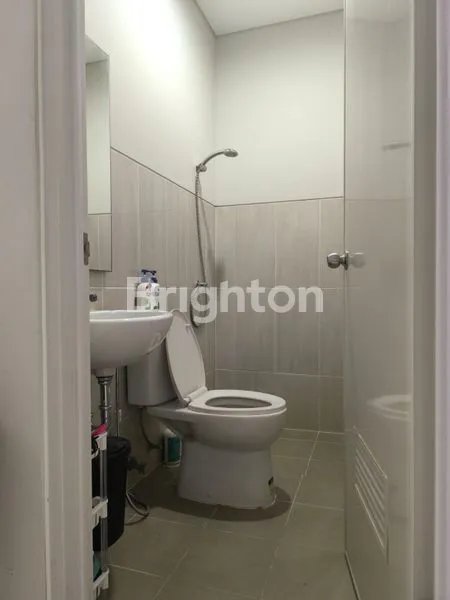 image CLUSTER CANNA PARAMOUNT PETAL (5)