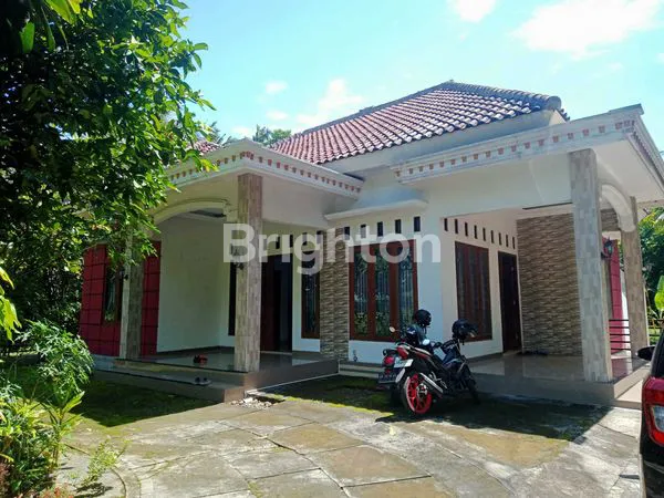 BANGUN TIDUR LANGSUNG LIHAT VIEW SAWAH HIJAU! \\\\UD83C\\\\UDF3E\\\\U2728 (DEKAT YIA)