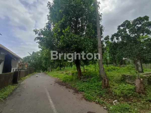 image DIJUAL TANAH KEBUN LUAS 50 HEKTAR DI TEMBOK TEJAKULA BULELENG (7)
