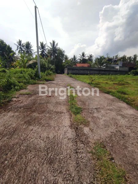 image TANAH 2 ARE  SIAP BANGUN MAMBANG DUKUH PULU SELEMADEG TIMUR  (2)