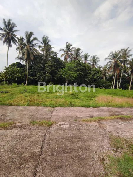 image TANAH 2 ARE  SIAP BANGUN MAMBANG DUKUH PULU SELEMADEG TIMUR  (4)