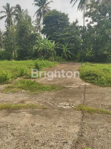 image TANAH 2 ARE  SIAP BANGUN MAMBANG DUKUH PULU SELEMADEG TIMUR  (6)