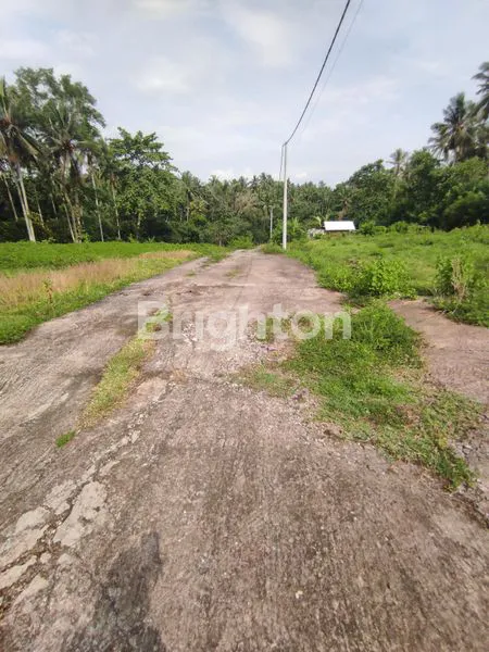 image TANAH 2 ARE  SIAP BANGUN MAMBANG DUKUH PULU SELEMADEG TIMUR  (3)