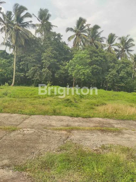 image TANAH 2 ARE  SIAP BANGUN MAMBANG DUKUH PULU SELEMADEG TIMUR  (5)