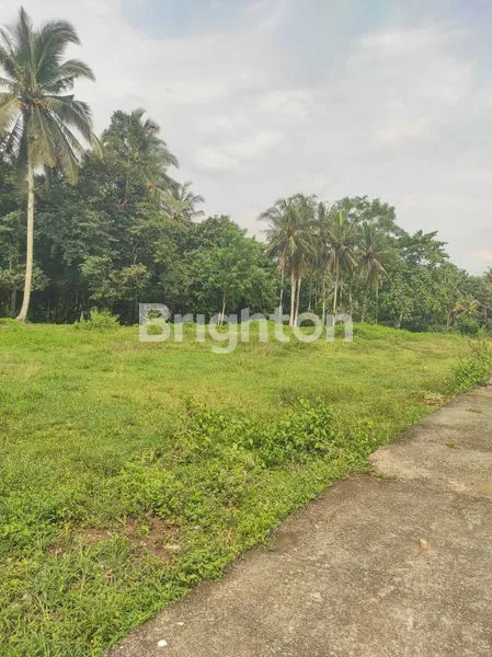 image TANAH 2 ARE  SIAP BANGUN MAMBANG DUKUH PULU SELEMADEG TIMUR  (8)
