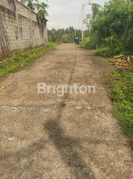 image TANAH 2 ARE  SIAP BANGUN MAMBANG DUKUH PULU SELEMADEG TIMUR  (7)
