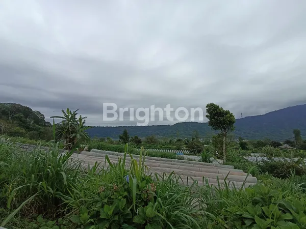 image DIJUAL TANAH KEBUN 10 HEKTAR DI PANCASARI BEDUGUL (3)