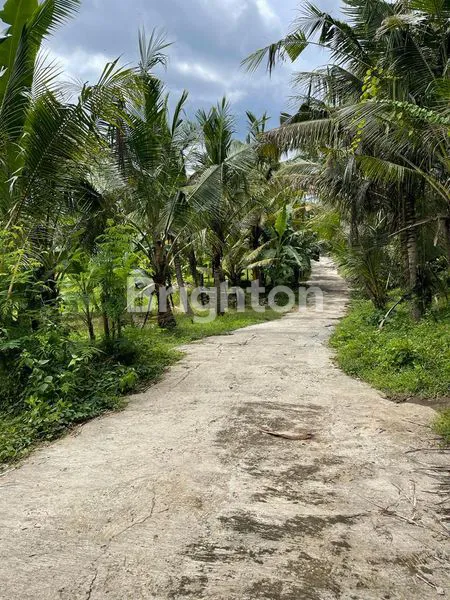 image TANAH DI JUAL AREA PANTAI SABA (1)
