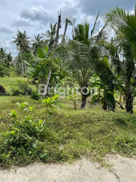 image TANAH DI JUAL AREA PANTAI SABA (5)