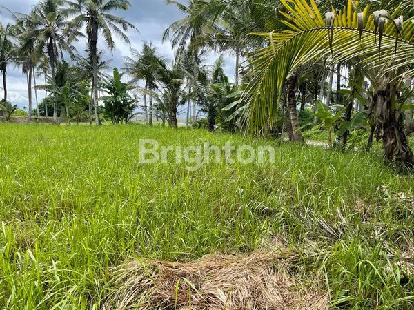 image TANAH DI JUAL AREA PANTAI SABA (2)