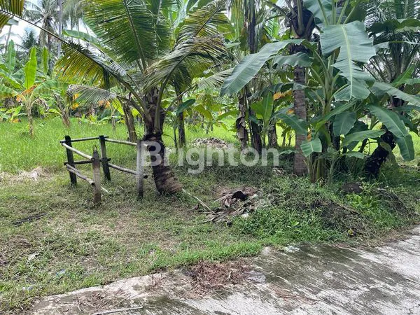 image TANAH DI JUAL AREA PANTAI SABA (3)