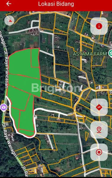 image INVESTASI AGRIBISNIS PREMIUM DI BEDUGUL, BALI (2)