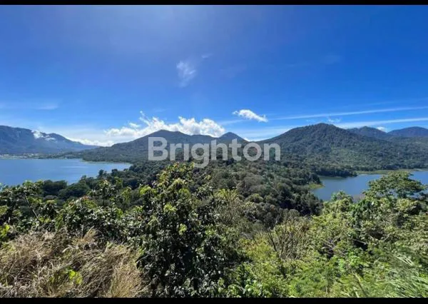 image INVESTASI AGRIBISNIS PREMIUM DI BEDUGUL, BALI (3)