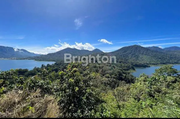 image INVESTASI AGRIBISNIS PREMIUM DI BEDUGUL, BALI (1)