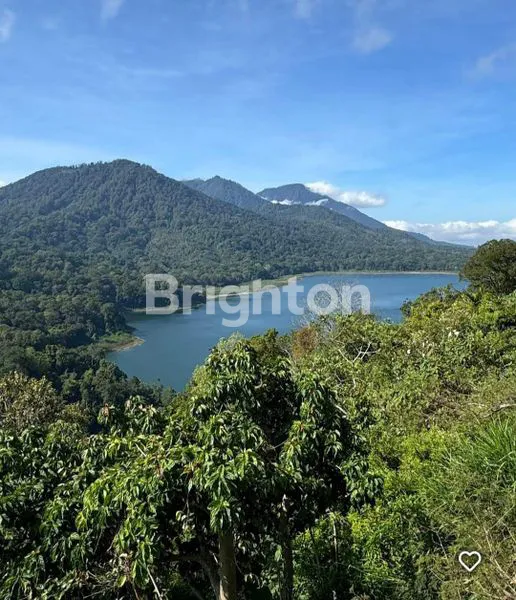 image INVESTASI AGRIBISNIS PREMIUM DI BEDUGUL, BALI (7)