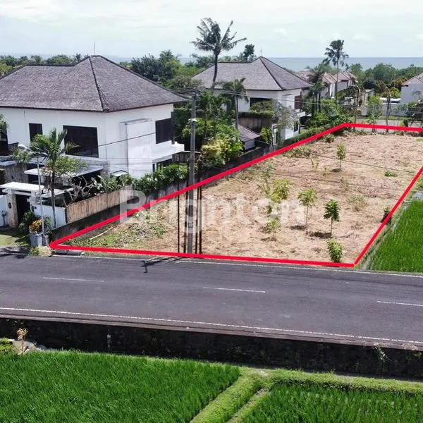 image TANAH SIAP BANGUN DI KAWASAN PREMIUM KEDUNGU, TABANAN - BALI (5)