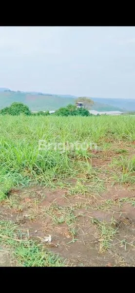 image TANAH GONDANG (2)