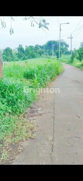 image TANAH GONDANG (5)