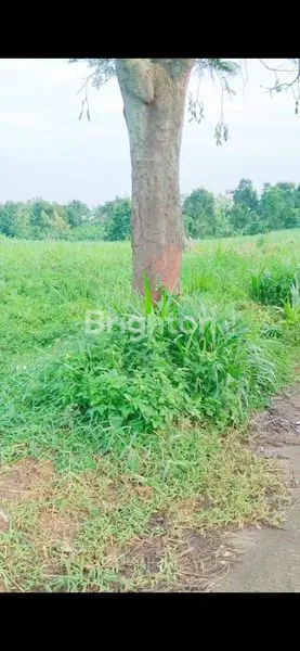 image TANAH GONDANG (4)