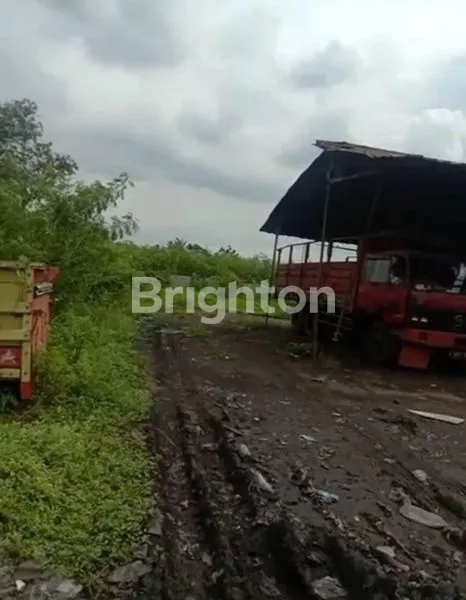image TANAH DAERAH STRATEGIS CIKARANG KAB. BEKASI (2)