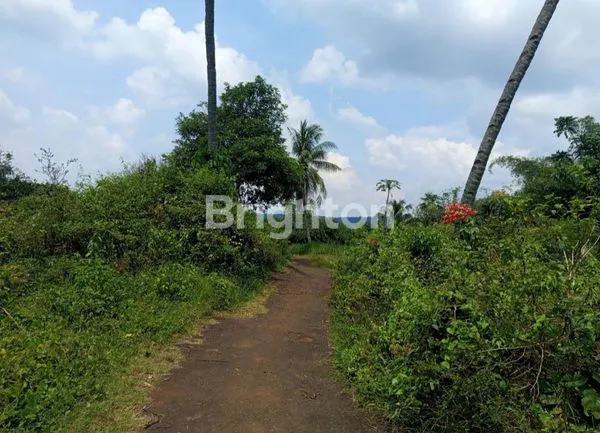 image DIJUAL TANAH SANGAT STRATEGIS LOKASI JONGGOL BOGOR (2)