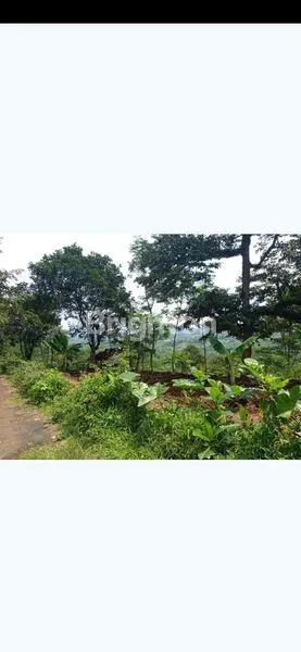 image DIJUAL TANAH SANGAT STRATEGIS LOKASI JONGGOL BOGOR (4)