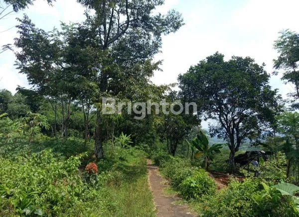 image DIJUAL TANAH SANGAT STRATEGIS LOKASI JONGGOL BOGOR (3)