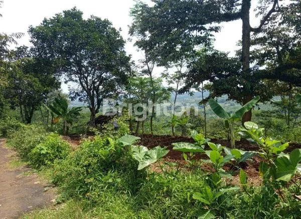 image DIJUAL TANAH SANGAT STRATEGIS LOKASI JONGGOL BOGOR (5)