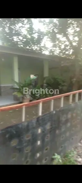 image REDY DI JUAL RUMAH DI PASIR ANGIN  (2)