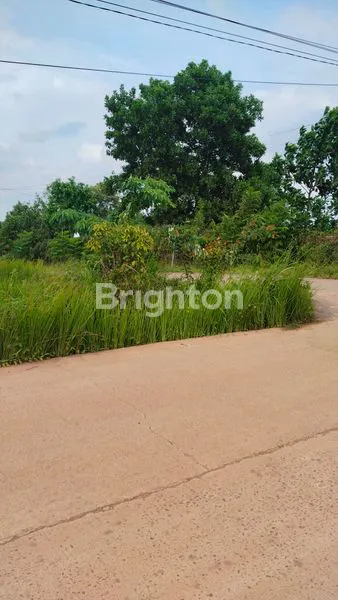 image TANAH 1 HEKTAR DI TALANG KEPUH (4)