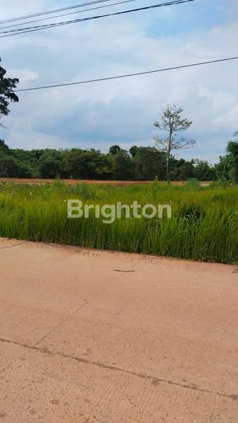 image TANAH 1 HEKTAR DI TALANG KEPUH (3)