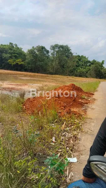 image TANAH 1 HEKTAR DI TALANG KEPUH (7)