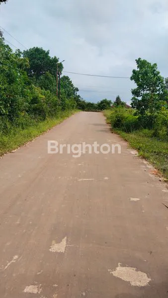 image TANAH 1 HEKTAR DI TALANG KEPUH (5)