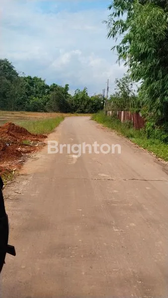 image TANAH 1 HEKTAR DI TALANG KEPUH (6)