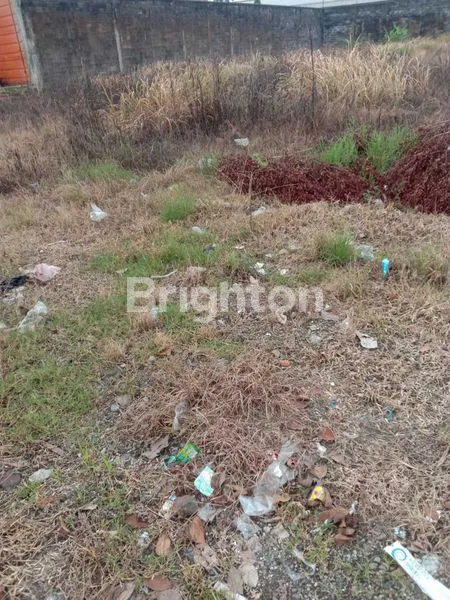 image TANAH SIAP BANGUN ,LUAS 3037 JL SOEKARNO HATTA ,PEDURUNGAN SEMARANG (6)