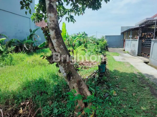 image DISEWAKAN RUMAH DEKAT PEPITO TABANAN (2)