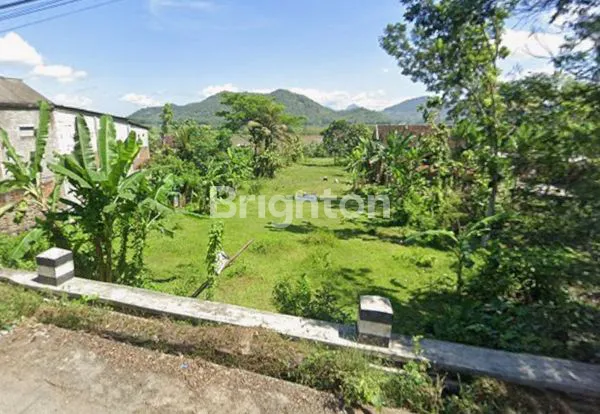 TANAH SELUAS 1.430 M², LOKASI STRATEGIS 2 MUKA JALAN ASPAL