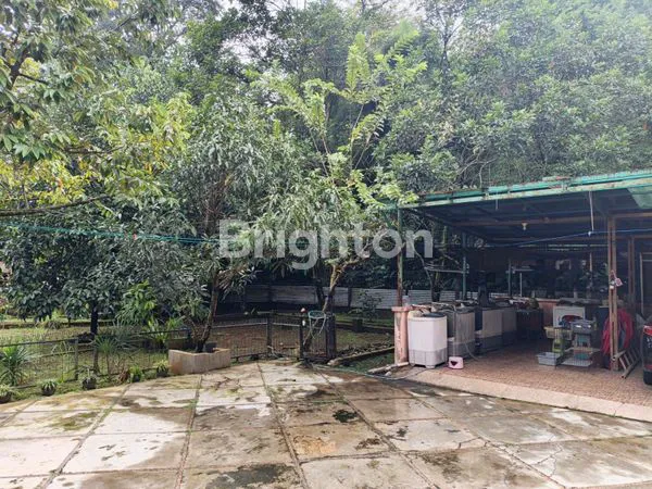 image JUAL RUMAH, TOKO DAN TANAH YANG LUAS DITEPI JALAN RAYA YANG RAMAI, SANGAT COCOK UNTUK TEMPAT TINGGAL DAN USAHA (8)