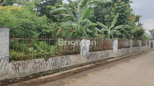 image TANAH LUAS 1160M² DI CISEENG BOGOR, HARGA TERJANGKAU (2)