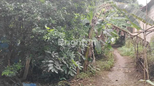 image TANAH LUAS 1160M² DI CISEENG BOGOR, HARGA TERJANGKAU (7)