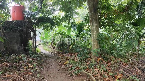 image TANAH LUAS 1160M² DI CISEENG BOGOR, HARGA TERJANGKAU (3)