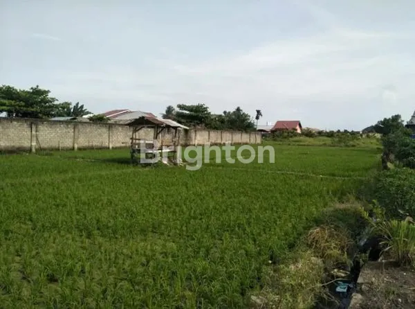 image HARGA 1.9 M LUAS TANAH 1309 DI HELVETIA (4)