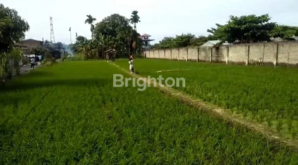 image HARGA 1.9 M LUAS TANAH 1309 DI HELVETIA (1)