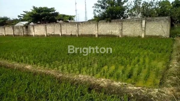 image HARGA 1.9 M LUAS TANAH 1309 DI HELVETIA (6)