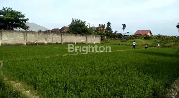 image HARGA 1.9 M LUAS TANAH 1309 DI HELVETIA (2)