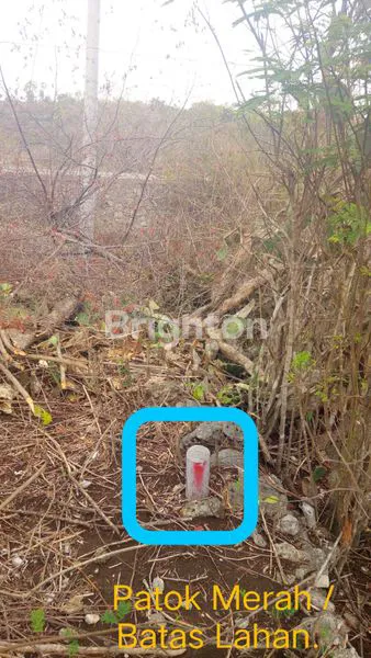 image TANAH POTENSIAL INVESTASI DI NUSA PENIDA (2)