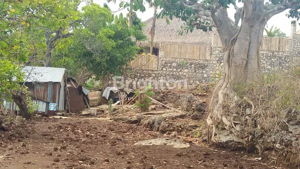 image TANAH POTENSIAL INVESTASI DI NUSA PENIDA (4)