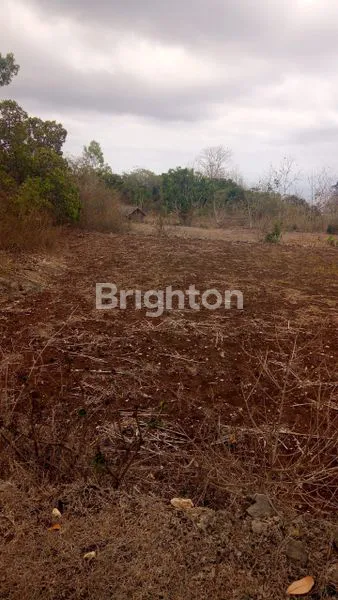 image TANAH POTENSIAL INVESTASI DI NUSA PENIDA (5)