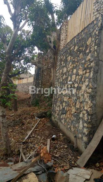 image TANAH POTENSIAL INVESTASI DI NUSA PENIDA (6)