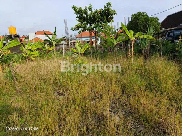 image LAHAN GLOGOR CARIK  (1)